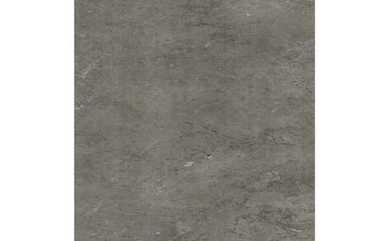 Feinsteinzeug grey 60 x 60 cm